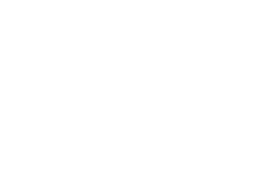 cropped-Eagle-lOGO-WHITE-2.png